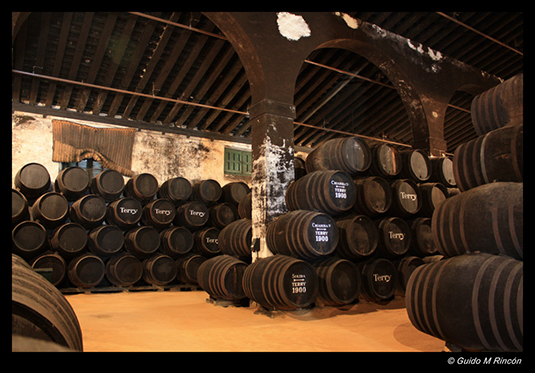 %_tempFileName19)%20Bodega%20de%20Terry%