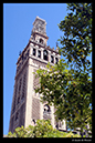 %_tempFileName01)%20La%20Giralda,%20Sevilla%