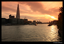 %_tempFileName07)%20The%20Shard,%20London%20at%20Sunset%